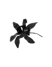 ANN DEMEULEMEESTER - Brooch