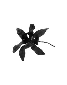 ANN DEMEULEMEESTER - Brooches
