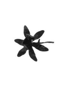 ANN DEMEULEMEESTER - Brooch