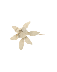 ANN DEMEULEMEESTER - Brooch