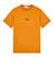 1 of 4 - Short sleeve t-shirt Man 2NS91 STONE ISLAND ARCHIVIO PROJECT_LINO WATRO Front STONE ISLAND