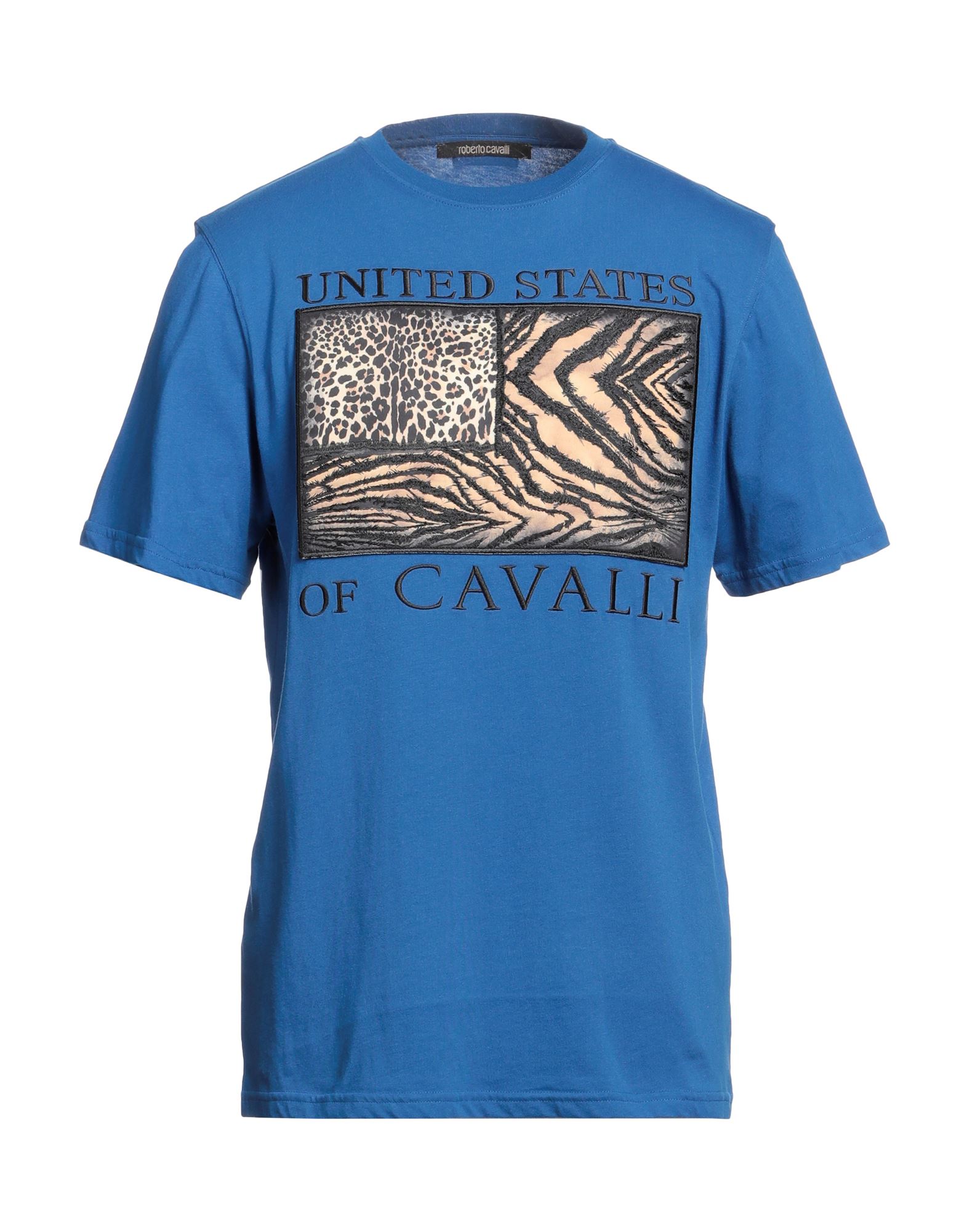 ロベルト・カバリ(Roberto Cavalli) メンズTシャツ・カットソー | 通販 ...