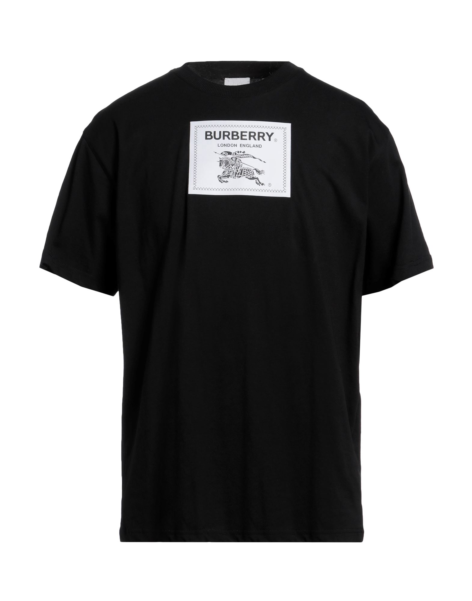 バーバリー(BURBERRY) メンズTシャツ・カットソー | 通販・人気