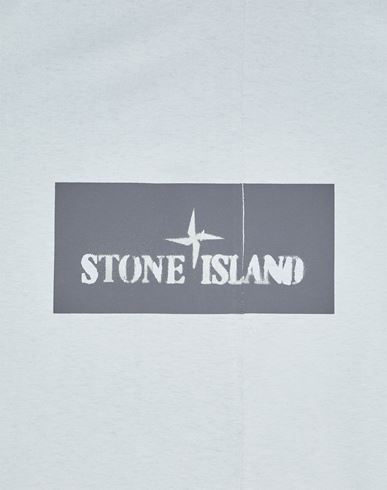 Stone island institutional t 2024 shirt