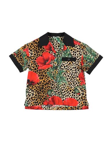 Dolce & Gabbana Toddler Boy Shirt Sand Size 3 Cotton In Sand