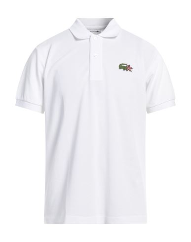 Shop Lacoste Man Polo Shirt White Size 5 Organic Cotton