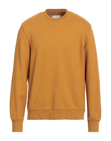 Circolo 1901 Man Sweatshirt Ocher Size L Cotton In Yellow