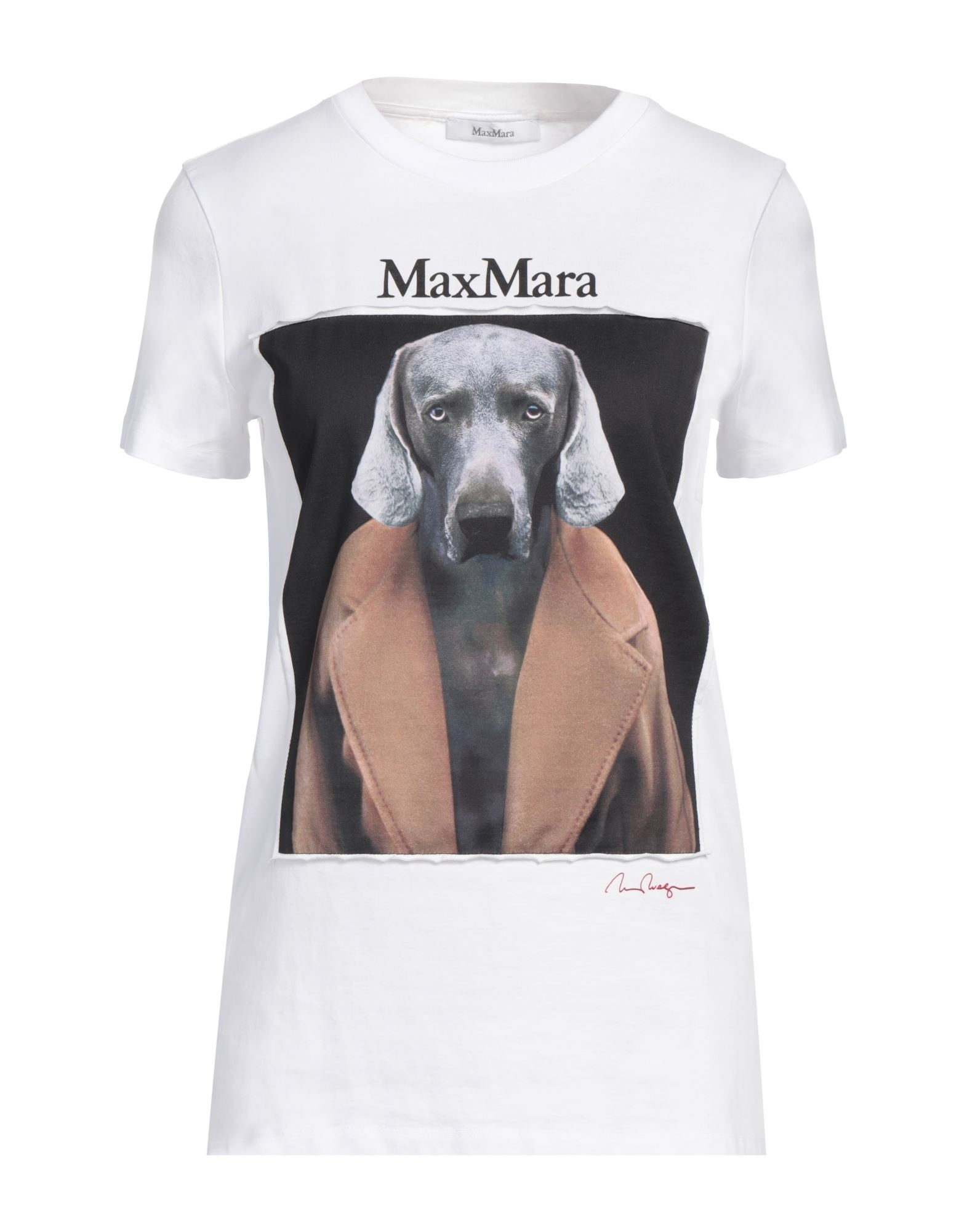 マックスマーラ(Max Mara) レディースTシャツ・カットソー