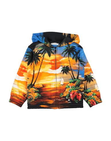 Dolce & Gabbana Newborn Boy Sweatshirt Marigold Size 3 Cotton In Multi