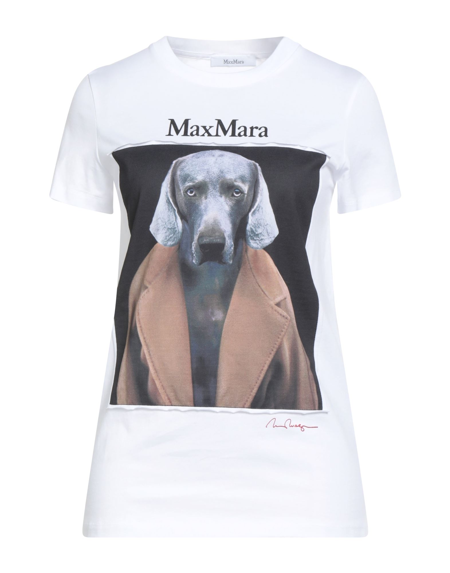 マックスマーラ(Max Mara) レディースTシャツ・カットソー