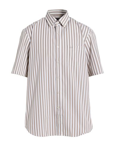 Paul & Shark Man Shirt Taupe Size 16 Cotton In Multi