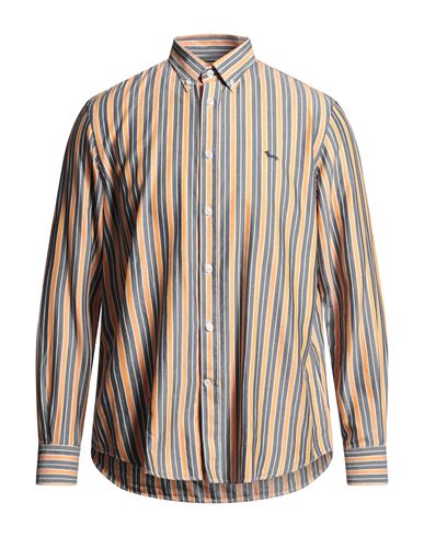 Harmont & Blaine Man Shirt Mandarin Size L Cotton, Tencel In Brown
