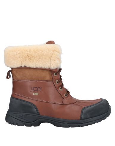 фото Сапоги Ugg australia