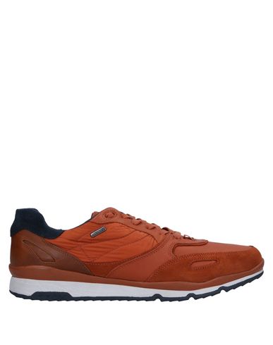 Кеды и кроссовки