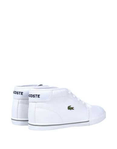 фото Высокие кеды и кроссовки Lacoste sport