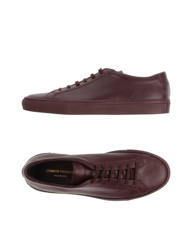 Common Projects Man Sneakers Burgundy Size 9 Soft Leather In Red