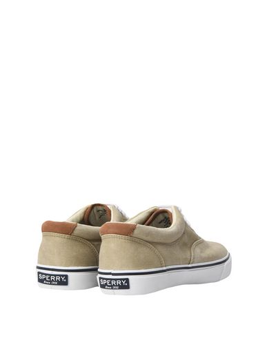 фото Низкие кеды и кроссовки sperry top-sider