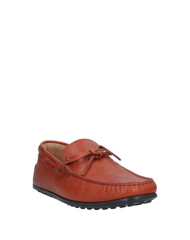 фото Мокасины tod's