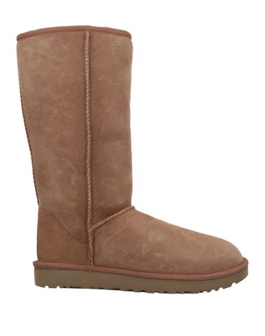 фото Сапоги Ugg australia