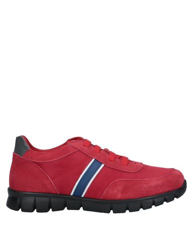 Shop Dolce & Gabbana Toddler Boy Sneakers Red Size 9.5c Calfskin, Polyamide