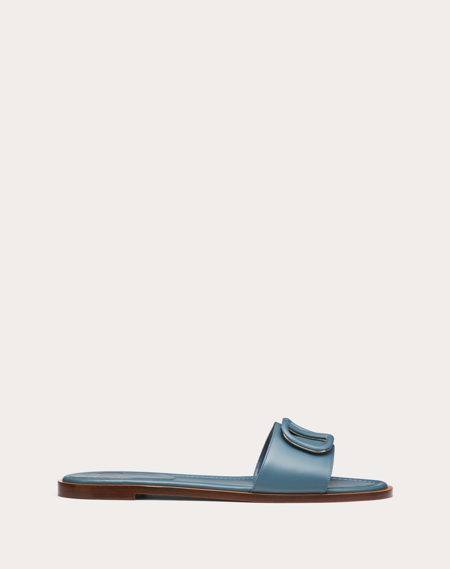 vlogo slides