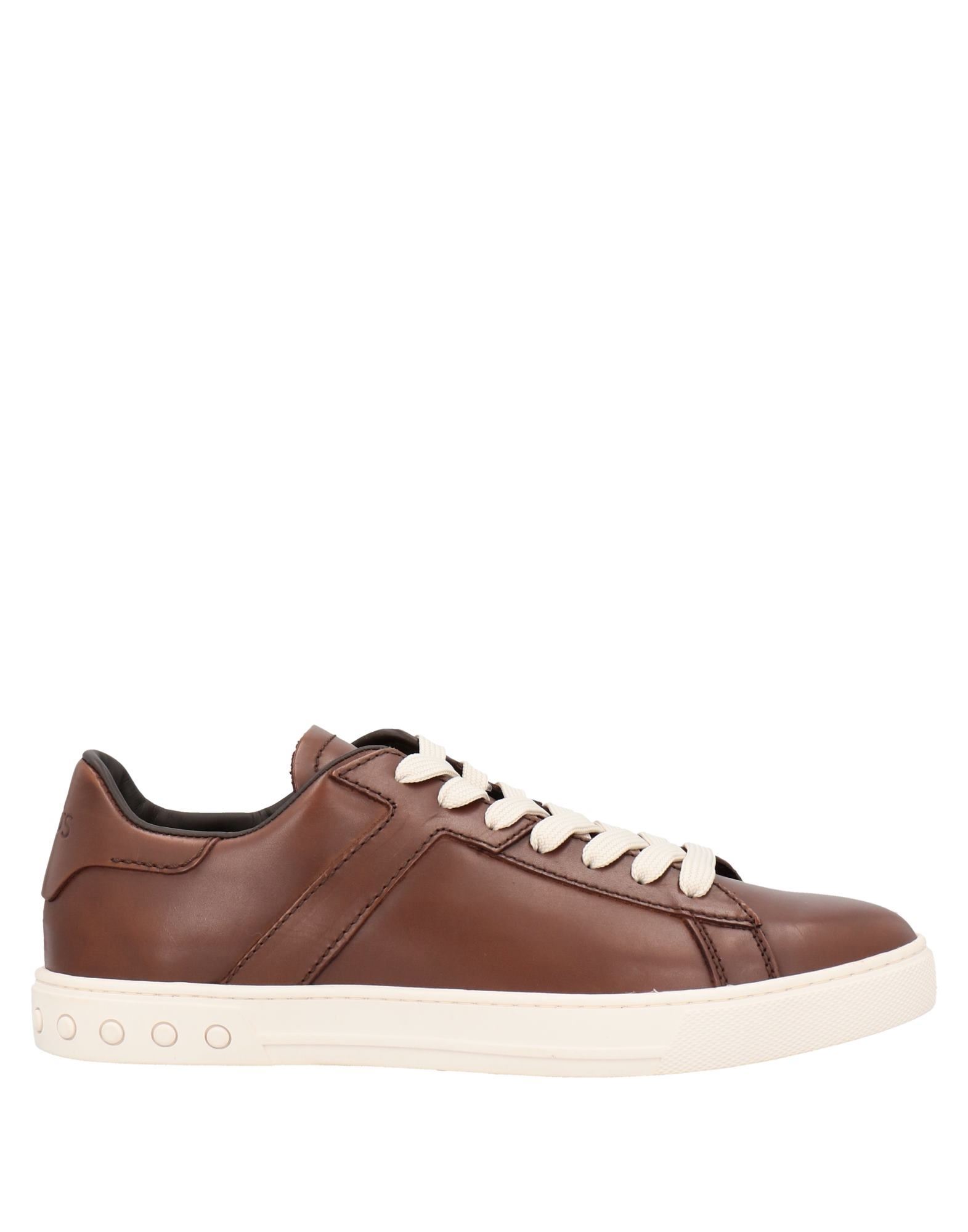 Tod's Sneakers In Cocoa