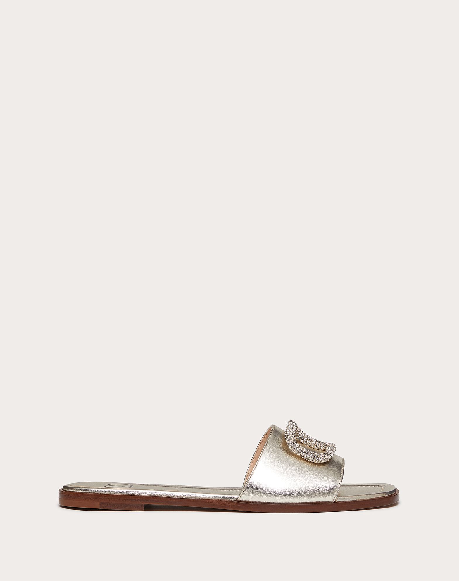 v logo slides
