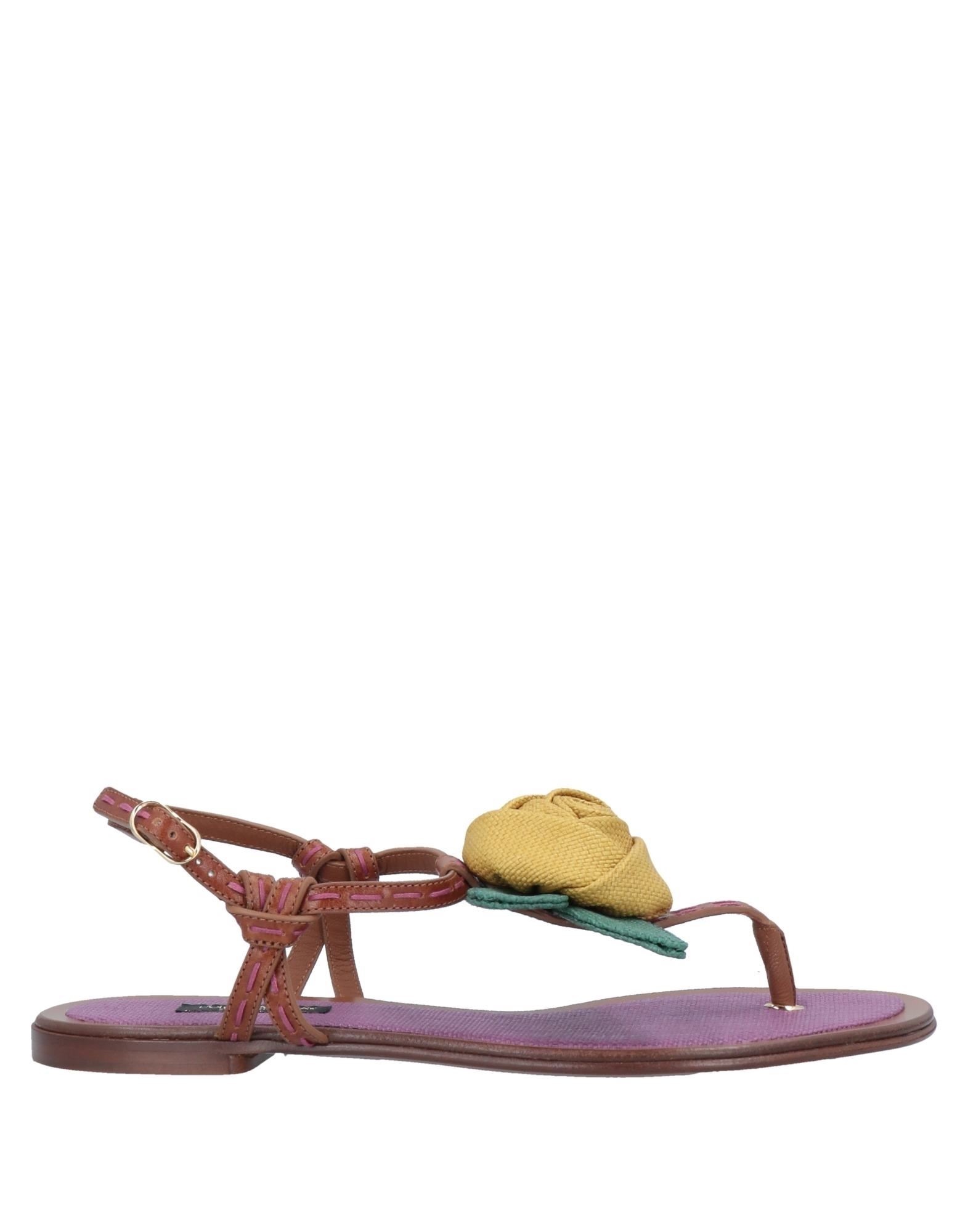 Dolce & Gabbana Toe Strap Sandals In Brown