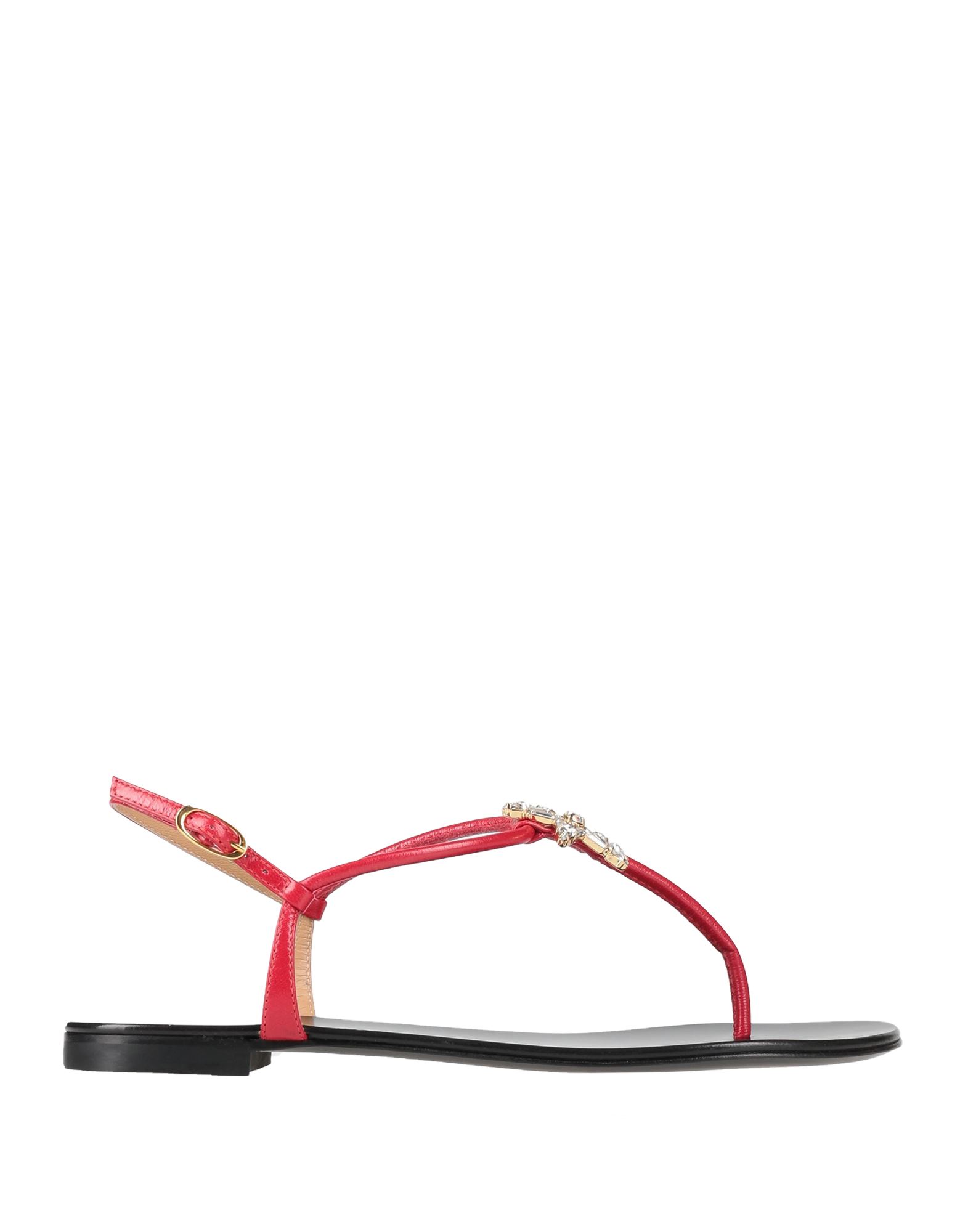 Giuseppe Zanotti Toe Strap Sandals In Red