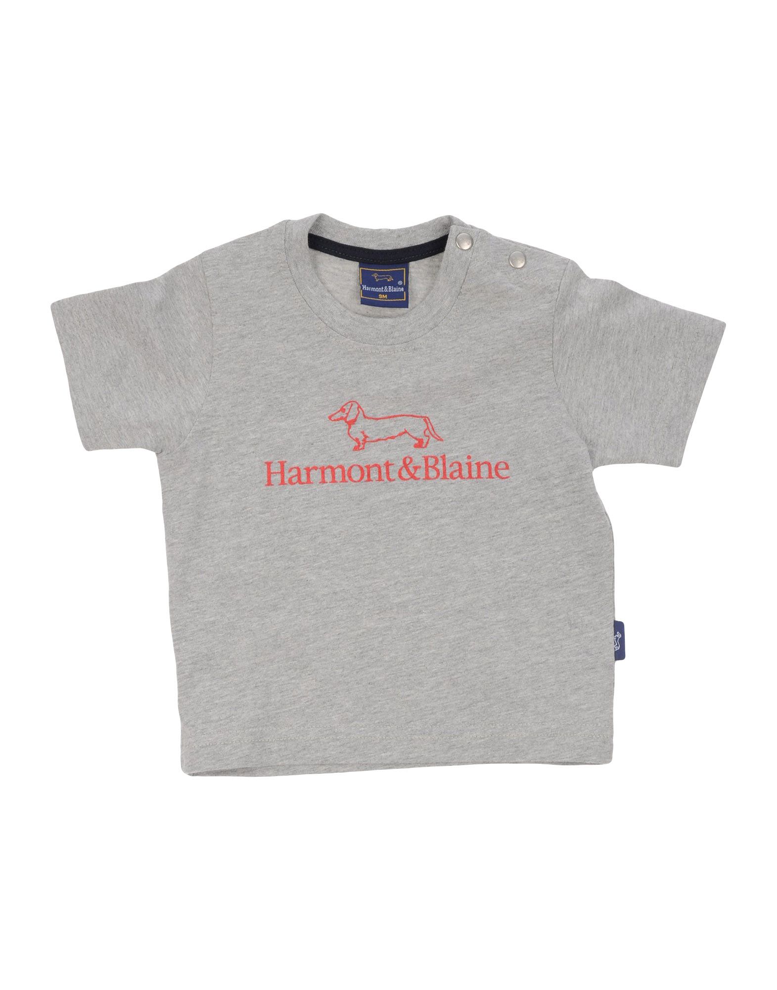 Harmont & Blaine Kids' T-shirts In Grey