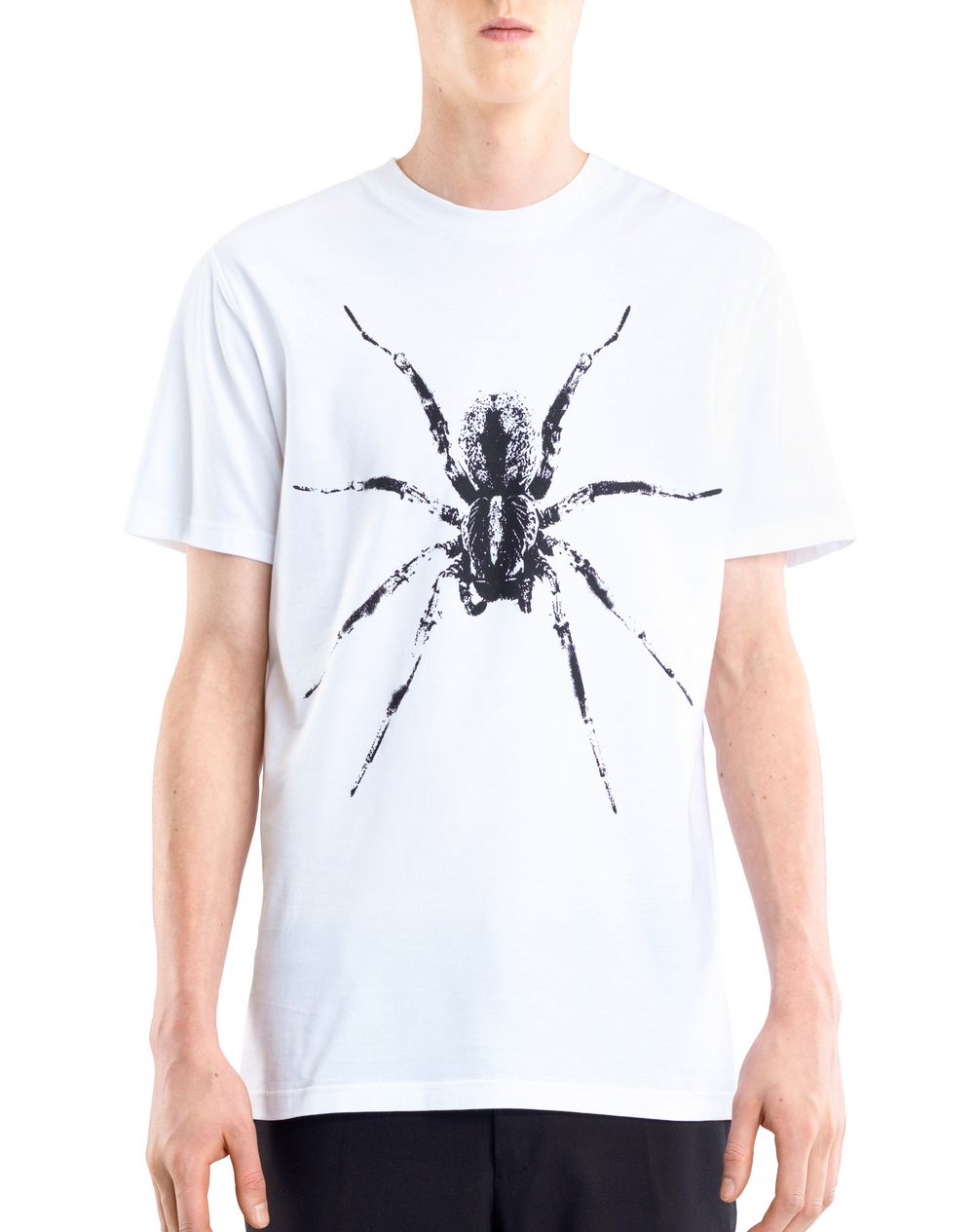 lanvin spider sweatshirt