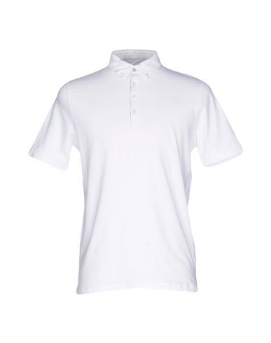 Поло Alpha Studio