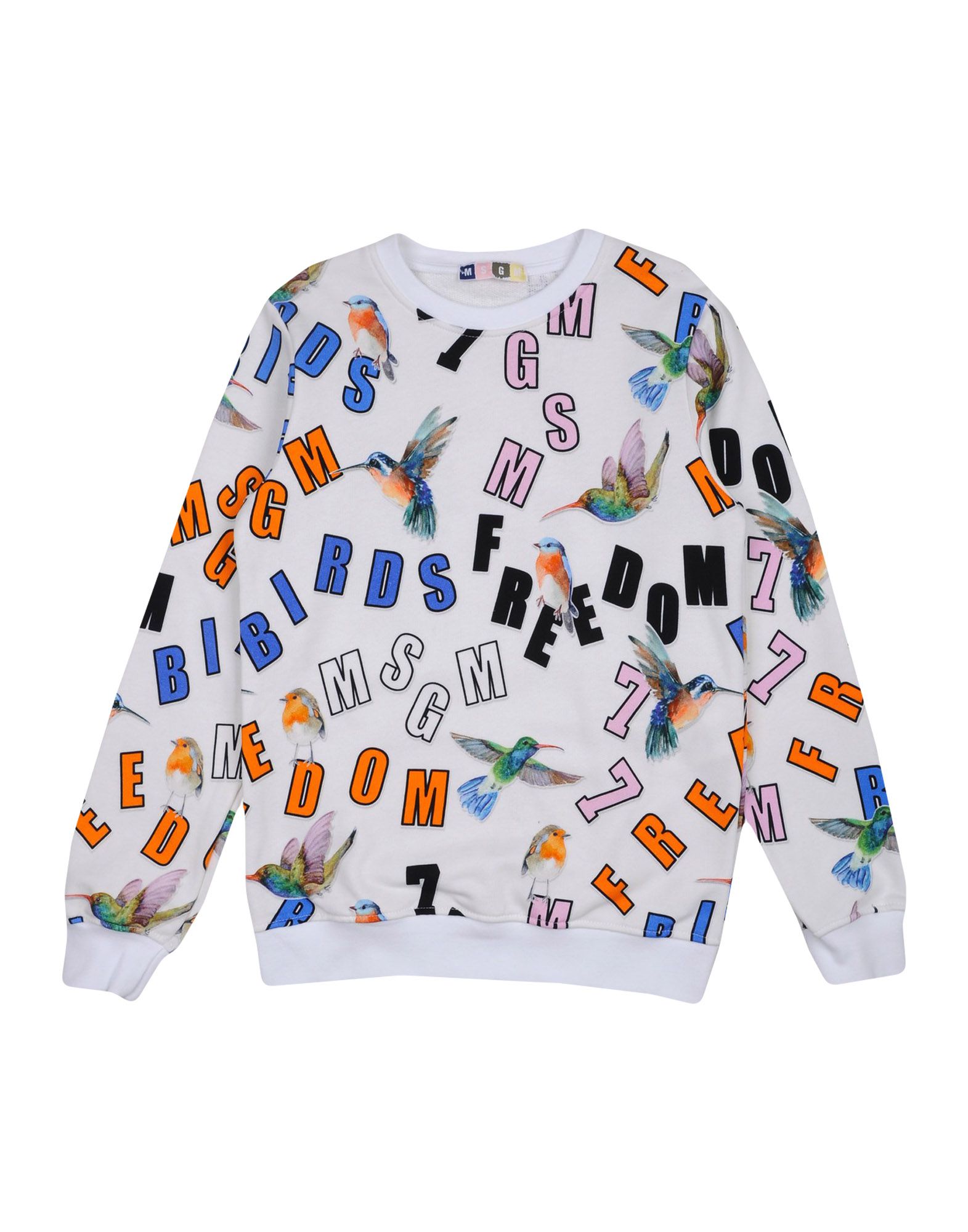 Толстовка MSGM