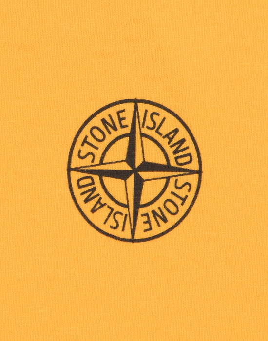2NS93'INSTITUTIONAL' Short Sleeve t Shirt Stone Island Men