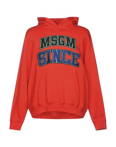 фото Толстовка msgm