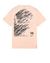 12213597qe - Polo - T-Shirts STONE ISLAND SHADOW PROJECT Short sleeve t-shirt 20310 PRINTED SS 10 YEARS ANNIVERSARY-T (JERSEY MAKO) GARMENT DYED STONE ISLAND SHADOW PROJECT