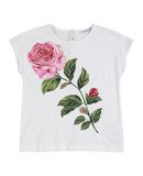 DOLCE & GABBANA M�dchen 3-8 jahre T-shirts Farbe Wei� Gr��e 2