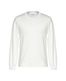 AUTHENTIC ORIGINAL VINTAGE STYLE Herren Sweatshirt Farbe Elfenbein Gr��e 4