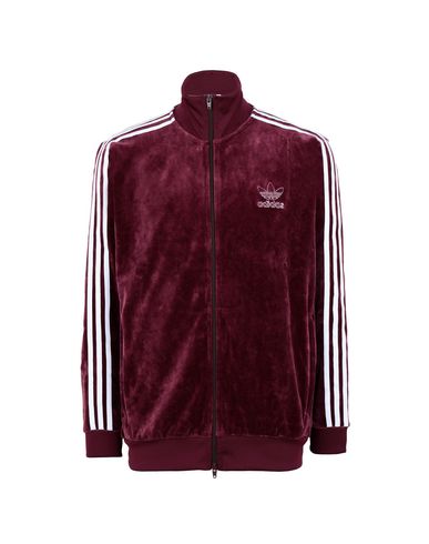 РҐСѓРґРё Velour adidas Originals