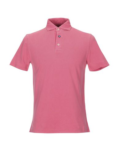 Man Polo shirt Garnet Size 44 Cotton, Elastane
