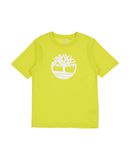 TIMBERLAND Jungen 9-16 jahre T-shirts Farbe Hellgr�n Gr��e 6