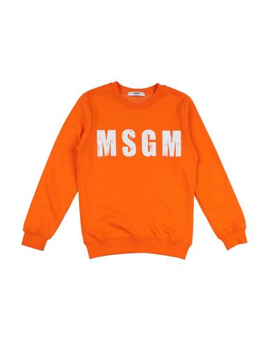 фото Толстовка msgm