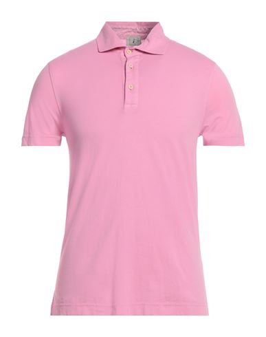 Shop Drumohr Man Polo Shirt Pink Size S Cotton