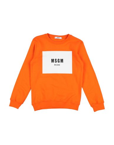 фото Толстовка msgm