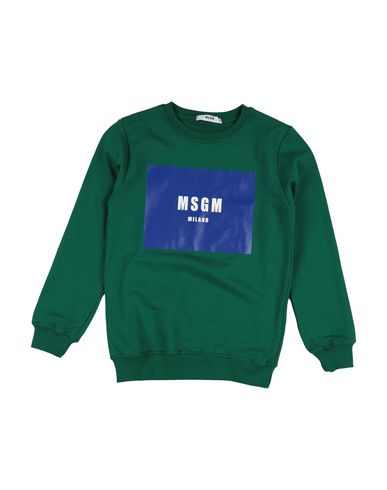 фото Толстовка msgm