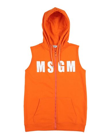 фото Толстовка msgm