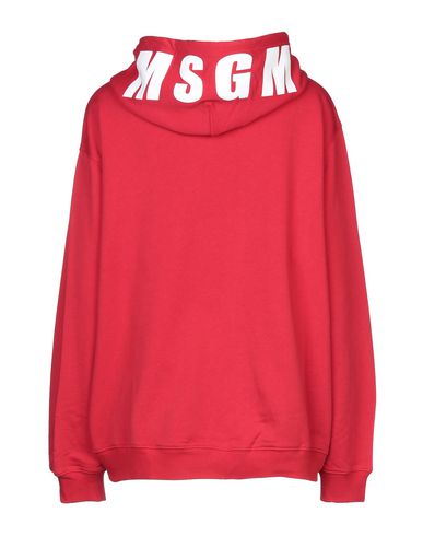 фото Толстовка msgm