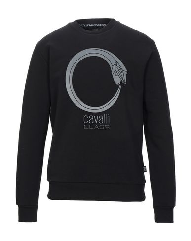 фото Толстовка cavalli class