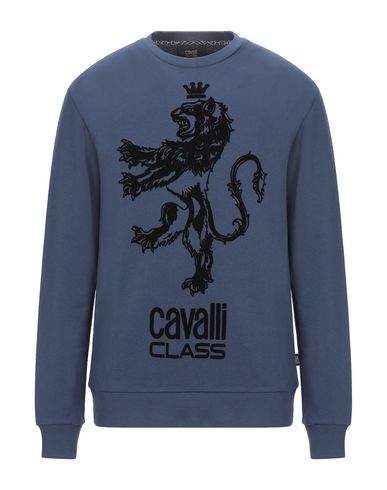 фото Толстовка cavalli class