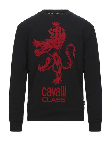 фото Толстовка cavalli class